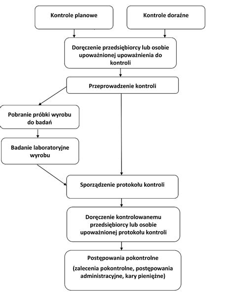 Schemat postępowania przy kontroli drogowej i nałożeniu kary