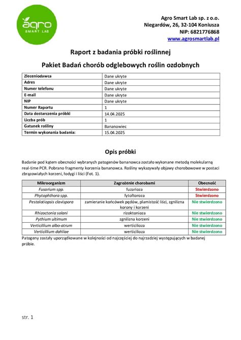 Logo BKR i przykładowy raport kredytowy