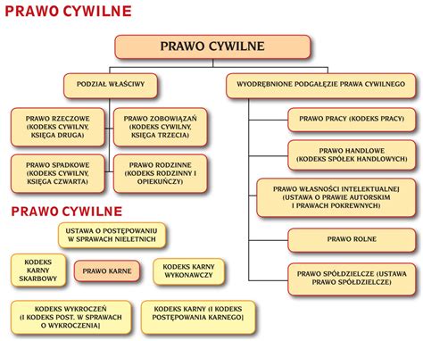 Schemat podziału prawa zobowiązań