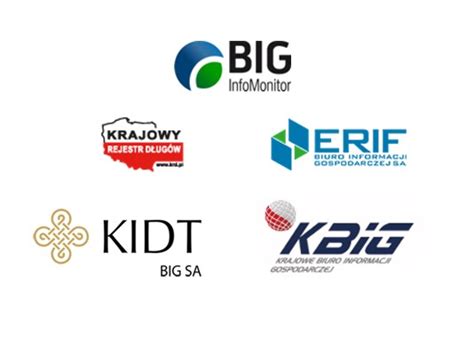 Logo Biura Informacji Gospodarczej