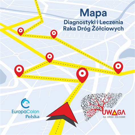 Mapa dróg żółciowych