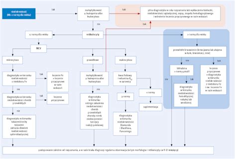 Schemat diagnostyki awarii internetu