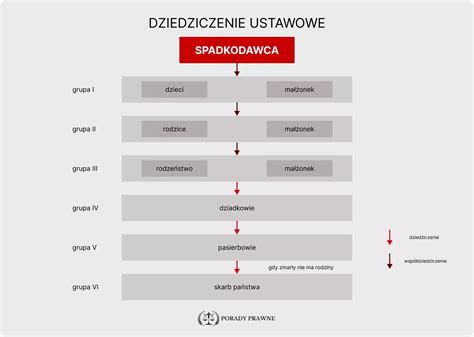 Infografika przedstawiająca podział długów alimentacyjnych w spadku