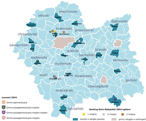 Mapa Dzierżoniowa z zaznaczonymi lokalizacjami nieruchomości