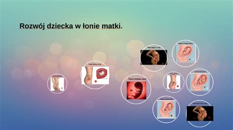 Schemat przedstawiający rozwój dziecka w łonie matki