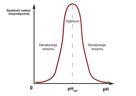 Schemat przedstawiający zależność szybkości windykacji od wieku długu
