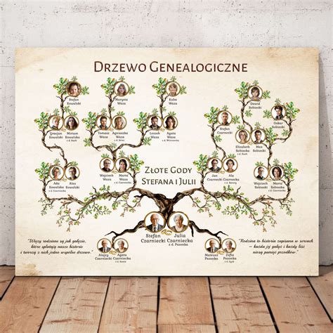 Drzewo genealogiczne jako ilustracja następstwa prawnego