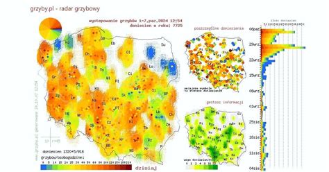 Mapa pokazująca regiony z największym zadłużeniem w Polsce (jeśli dostępne dane)