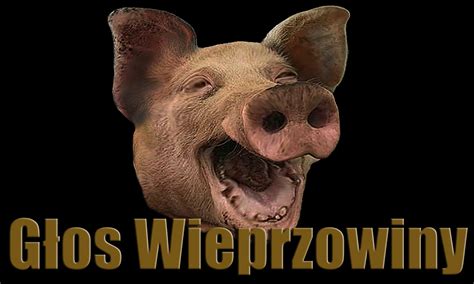 komornik sądowy Gdynia