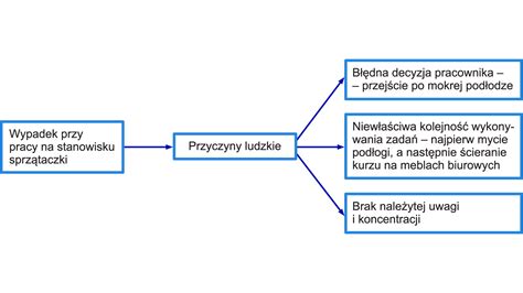 Schemat przedstawiający przyczyny bezskuteczności egzekucji komorniczej