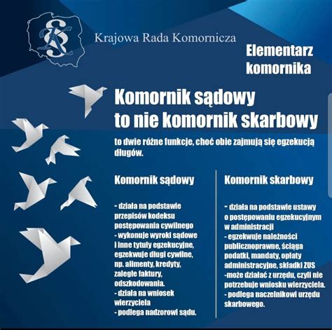 Komornik Skarbowy podczas pracy