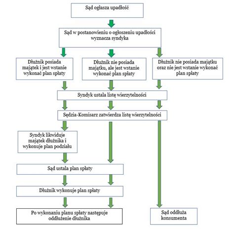 Schemat postępowania sądowego po ogłoszeniu upadłości