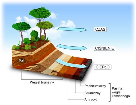 Ilustracja przedstawiająca proces windykacji