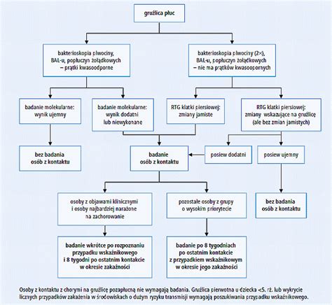 Schemat postępowania wobec dłużnika alimentacyjnego