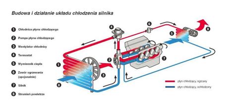 Schemat układu chłodzenia silnika