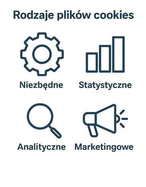 Schemat działania plików cookies