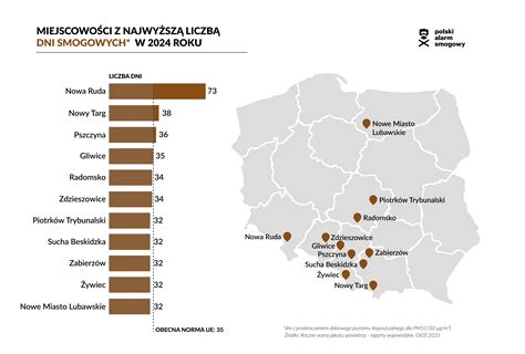 Mapa pokazująca polskie miasta z największą liczbą zadłużeń