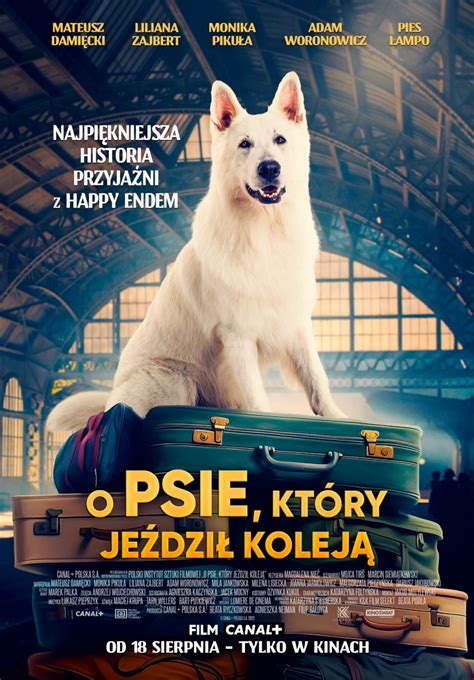 Plakat filmu 