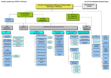 Schemat organizacyjny Służby Celno-Skarbowej z zaznaczonymi centrami kompetencyjnymi