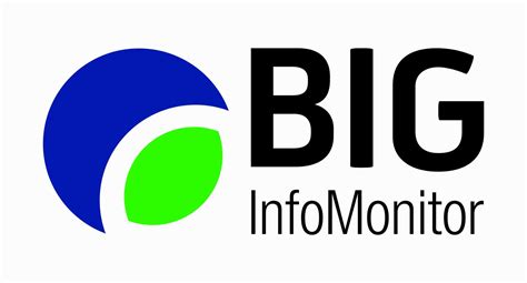 Grafika przedstawiająca dane dłużnika w rejestrze BIG InfoMonitor