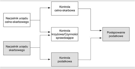 Schemat rozróżniający kontrolę podatkową i czynności sprawdzające