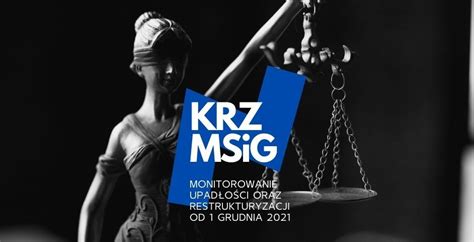 Infografika: Główne źródła sprawdzania upadłości (MSiG, KRS, KRZ, Vindicat)
