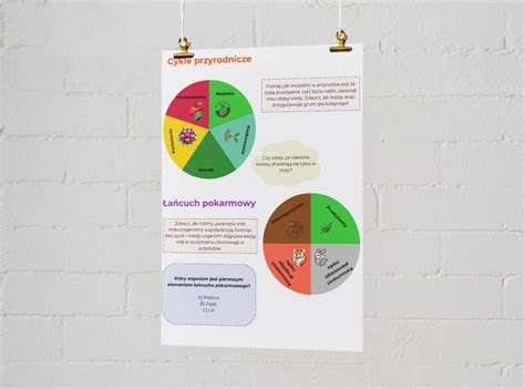 Infografika: Cykle postępowań egzekucyjnych i naliczania odsetek