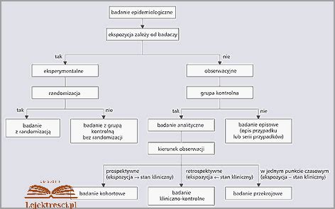 Rodzaje stypendiów naukowych