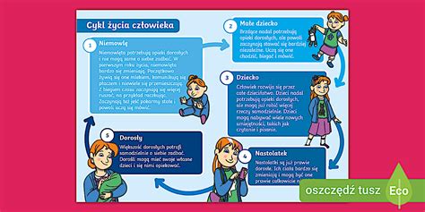 Infografika przedstawiająca etapy uzyskiwania tytułu wykonawczego