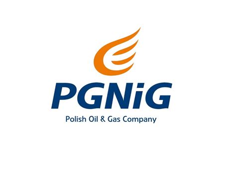 Logo PGNiG z elementami symbolizującymi energię i dług