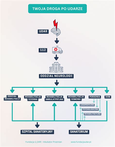 Infografika: Droga asesora komorniczego