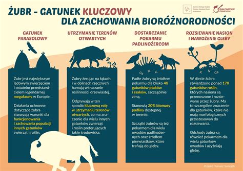 Infografika dotycząca skargi pauliańskiej