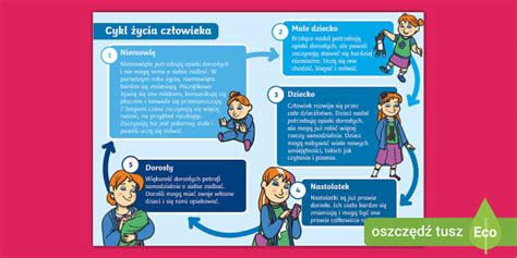 Infografika: etapy egzekucji komorniczej i typowe czasy trwania poszczególnych etapów
