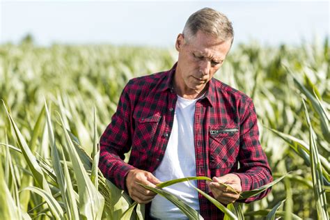 Tabela: Rzeczy chronione przed egzekucją komorniczą