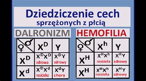 Schemat przedstawiający wygaśnięcie bieżących alimentów a dziedziczenie zaległości