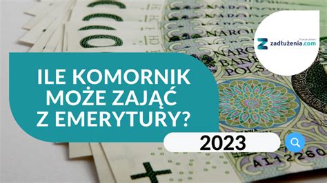 Infografika przedstawiająca podział procentowy zajęcia emerytury przez komornika w zależności od rodzaju długu.