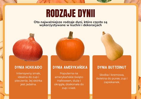 Różne rodzaje zajęć komorniczych