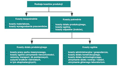 Schemat podziału kosztów egzekucyjnych w różnych scenariuszach