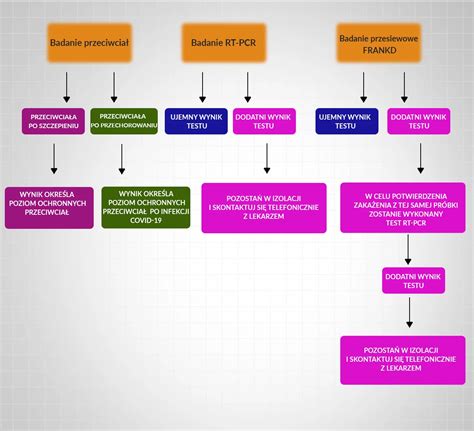 Infografika: Ścieżka postępowania w przypadku braku płatności alimentów