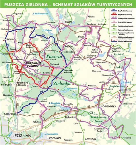 Mapa trasy autobusowej Rogoźno - Murowana Goślina