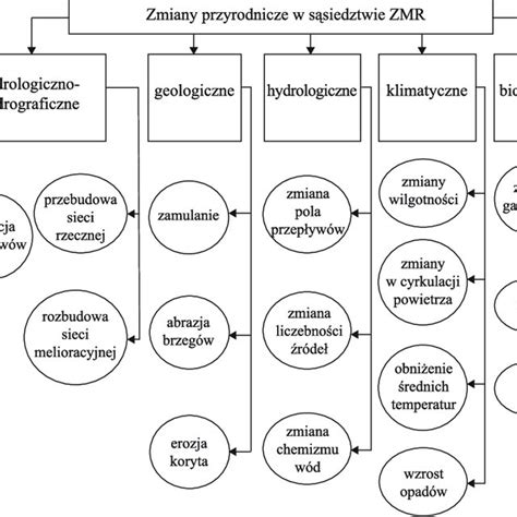 Schematyczne przedstawienie rankingu komorników