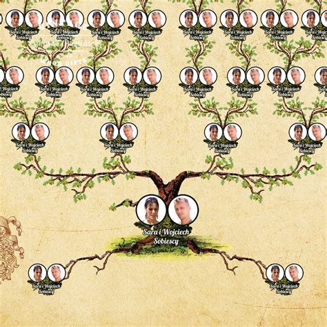 Drzewo genealogiczne z zaznaczoną grupą 0 podatku od darowizn