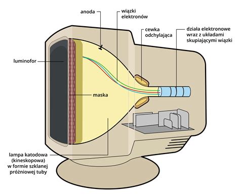 Schemat działania komornika