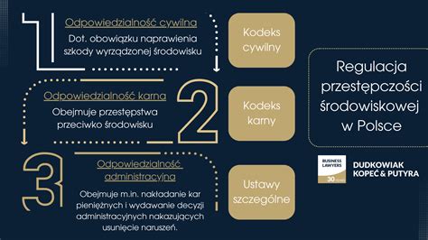 Schemat odpowiedzialności karnej za długi