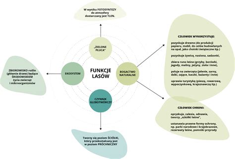 Schemat przedstawiający przeszkody w uznaniu orzeczeń zagranicznych