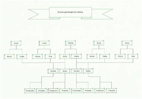Drzewo genealogiczne ilustrujące kolejność dziedziczenia ustawowego