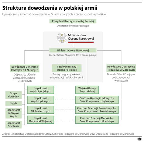 Grafika przedstawiająca procedurę zabezpieczenia majątku