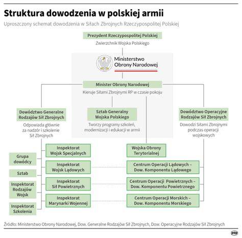 Infografika: Struktura nagród Medalu Dziesięciolecia Polski Ludowej oraz kluczowe instytucje zaangażowane w proces odznaczania