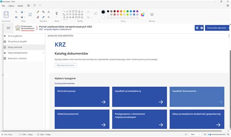 Krajowy Rejestr Zadłużonych - interfejs