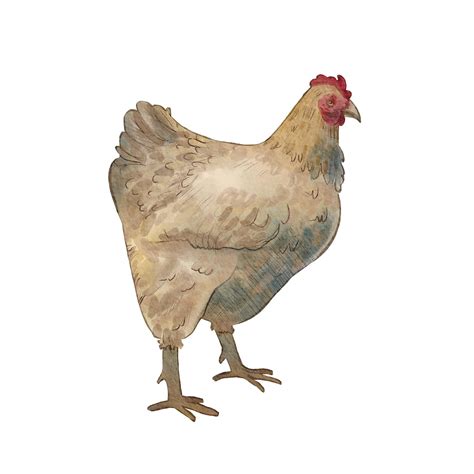 Ilustracja polskiego gospodarstwa rolnego